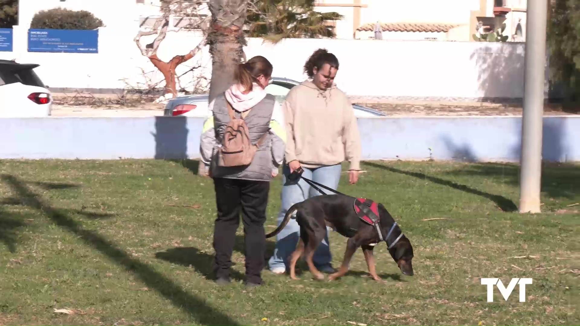 Programa 16 - Voluntarios del Albergue